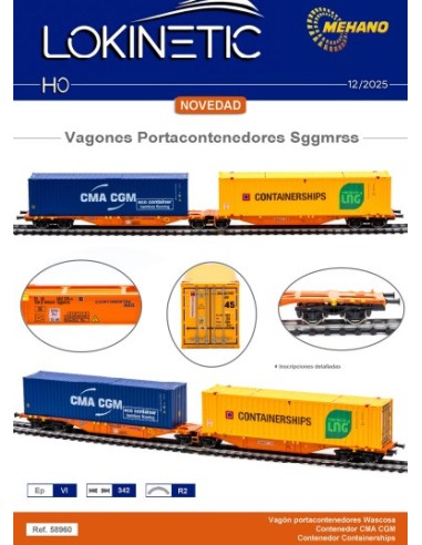 58960 MEHANO VAGÓN SGGMRSS WASCOSA + CONTENEDOR CMA + CONTENEDOR CONTAINERSHIPS