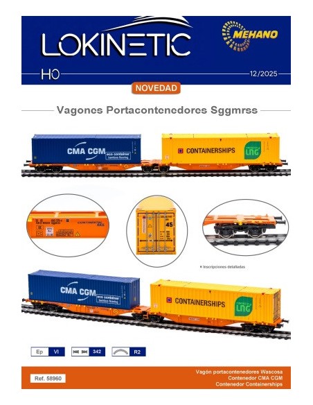 58960 MEHANO VAGÓN SGGMRSS WASCOSA + CONTENEDOR CMA + CONTENEDOR CONTAINERSHIPS