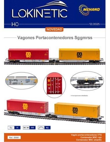 58961 MEHANO VAGÓN SGGMRSS VTG + CONTENEDOR MSC ROJO + CONTENEDOR  MSC AMARILLO