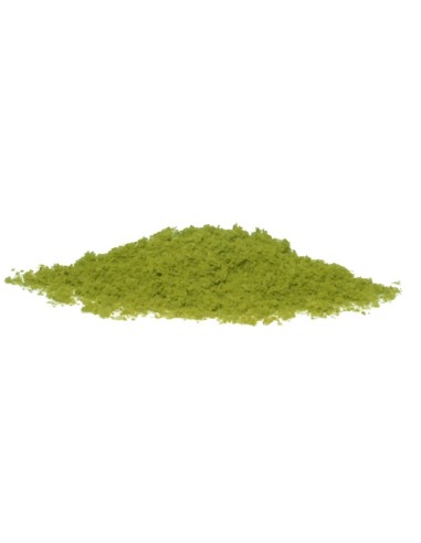 K24-324 Kato flocado pequeño verde claro
