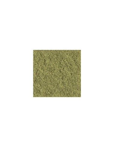 K24-323 Kato flocado pequeño verde