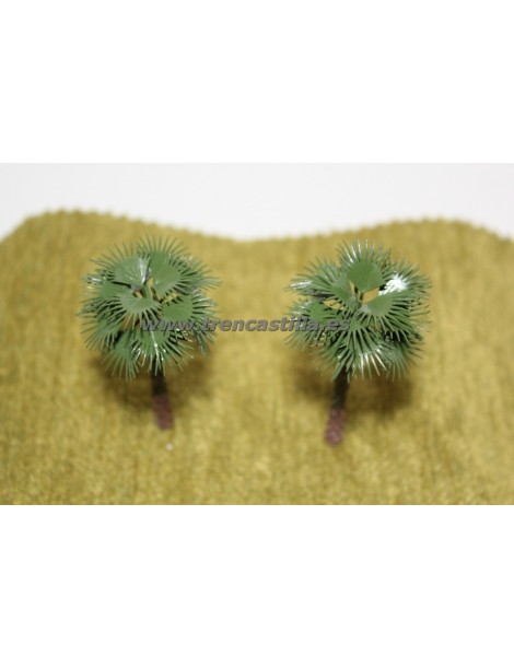 Lote 5 palmeras, Trencastilla TCJ200