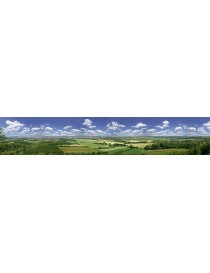 FONDO DE PAISAJE