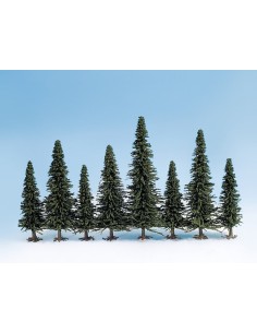 Set 50 Abetos, Noch 32521 2