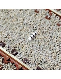 SET DE 10 PALET, MFTRAIN N83001