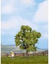 1 ARBOL FRUTAL, NOCH 21550