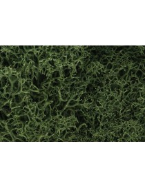 DECODER SILVER 21+ . LENZ ELEKTRONIK 10321-01 (HO) 2