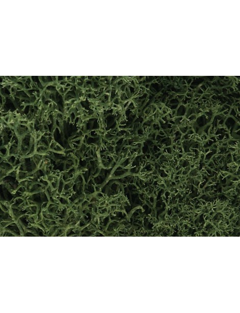 Bolsa de Musgo, woodland scenics L163