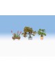 CONJUNTO 17 PLANTAS LASER CUT MINIS, NOCH 14054