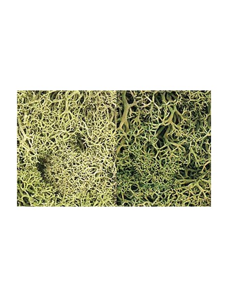 Bolsa grande de Musgo, woodland scenics L167