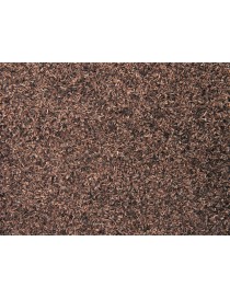 HOJARASCA, CAMPO MARRÓN, NOCH 08440 2