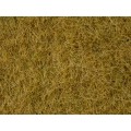 HIERBAS SILVESTRES BEIGE 6mm, NOCH 07101