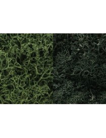 DECODER SILVER 21+ . LENZ ELEKTRONIK 10321-01 (HO) 2