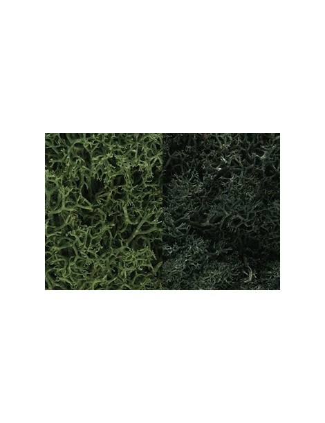 Bolsa grande de Musgo, woodland scenics L168