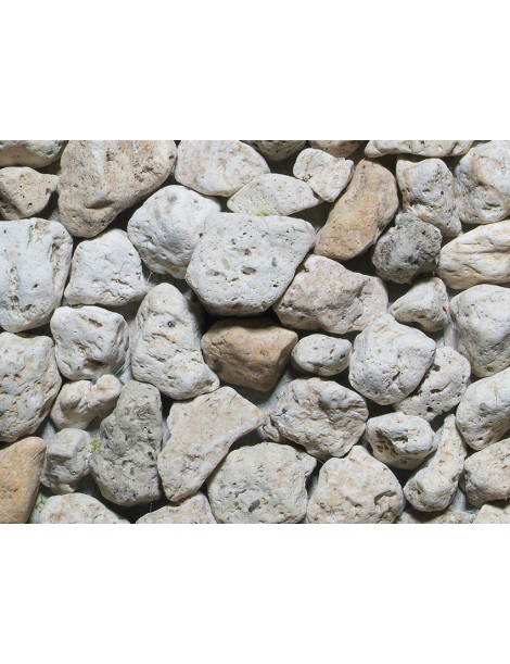 CONJUNTO 17 PLANTAS LASER CUT MINIS, NOCH 14054