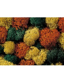 MUSGO DECORATIVO, NOCH 08620 2