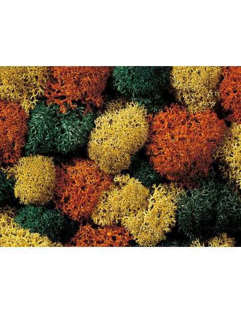 DECODER SILVER 21+ . LENZ ELEKTRONIK 10321-01 (HO)