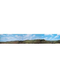FONDO DE PAISAJE