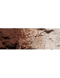 Pigmento tierra, woodland scenics C1222 2