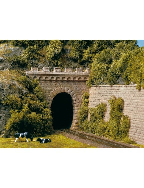 FONDO DE PAISAJE