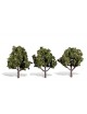 SET DE 3 ARBOLES, WOODLAND SCENICS TR3510