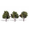 SET DE 3 ARBOLES, WOODLAND SCENICS TR3510