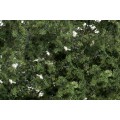 FOLLAJE PARA CREAR ARBOLES, WOODLAND SCENICS F1131