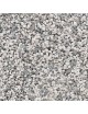 DECODER SILVER 21+ . LENZ ELEKTRONIK 10321-01 (HO)