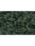 MALEZA VERDE MEDIO, WOODLAND SCENICS FC136