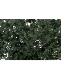 FOLLAJE PARA CREAR ARBOLES, WOODLAND SCENICS F1130