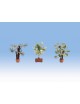 CONJUNTO 17 PLANTAS LASER CUT MINIS, NOCH 14054