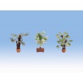 CONJUNTO 17 PLANTAS LASER CUT MINIS, NOCH 14054