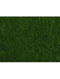 CONJUNTO 17 PLANTAS LASER CUT MINIS, NOCH 14054