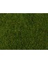 FOLLAJE DE PRADERA, VERDE MEDIANO, NOCH 07291