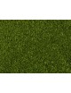 CONJUNTO 17 PLANTAS LASER CUT MINIS, NOCH 14054
