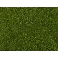 CONJUNTO 17 PLANTAS LASER CUT MINIS, NOCH 14054