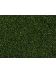 CONJUNTO 17 PLANTAS LASER CUT MINIS, NOCH 14054