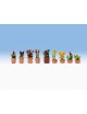 CONJUNTO 17 PLANTAS LASER CUT MINIS, NOCH 14054