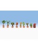 CONJUNTO 17 PLANTAS LASER CUT MINIS, NOCH 14054