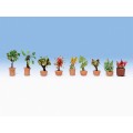 CONJUNTO 17 PLANTAS LASER CUT MINIS, NOCH 14054