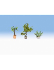 CONJUNTO 17 PLANTAS LASER CUT MINIS, NOCH 14054