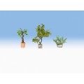 SET 3 PLANTAS EN JARDINERAS- LASER, NOCH 14018