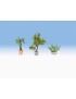 SET 3 PLANTAS EN JARDINERAS- LASER, NOCH 14018
