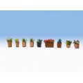 CONJUNTO 17 PLANTAS LASER CUT MINIS, NOCH 14054