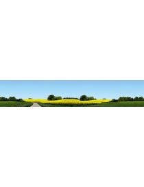 FONDO DE PAISAJE