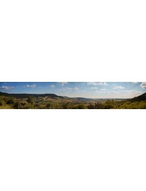 FONDO DE PAISAJE