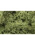 BOLSA DE MUSGO , WOODLAND SCENICS L163